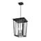 Z-Lite Seoul 2 Light Outdoor Chain Mount Ceiling Fixture, Oil Rubbed Bronze & Clear 571CHB-ORB - alternate 3
